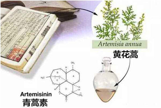 星空(中国)官方体育网站,：向中医药看齐，与世界共享中医药文化(图1)